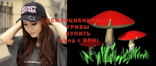 мяу мяу мука Архангельск