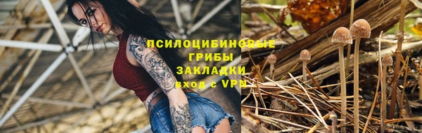 прущие грибы Баксан