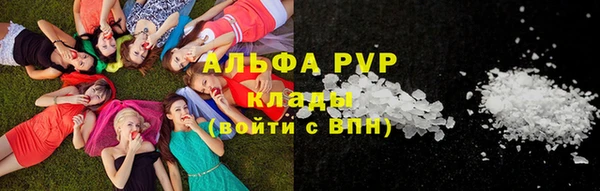 прущие грибы Баксан